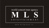 Логотип MLS group 
